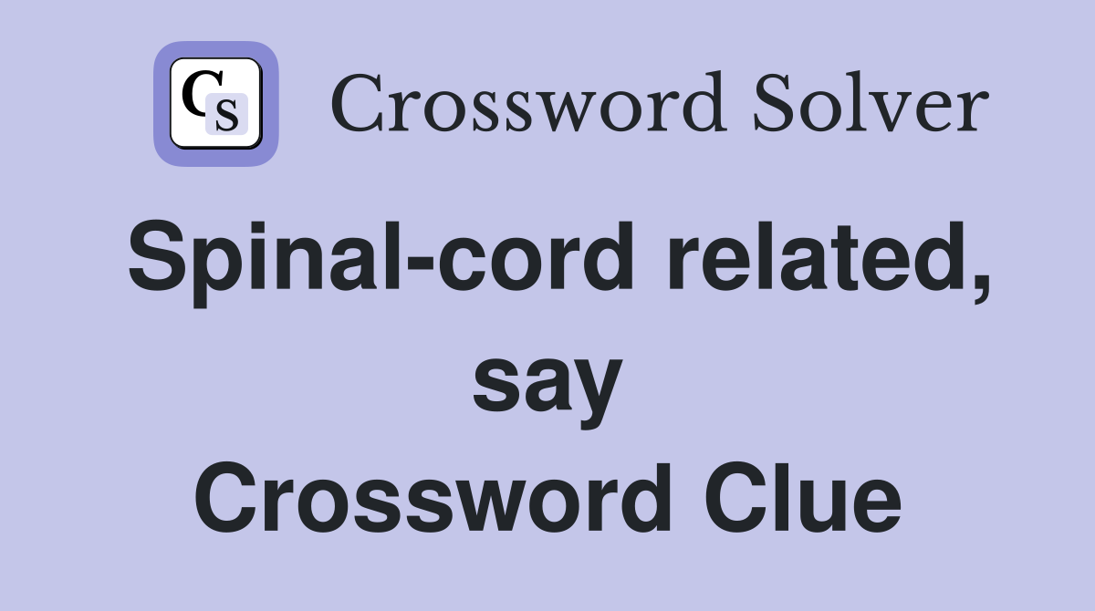 Spinal-cord related, say Crossword Clue