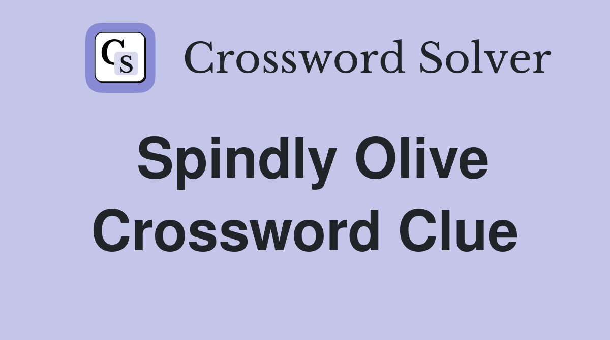 Spindly Olive Crossword Clue