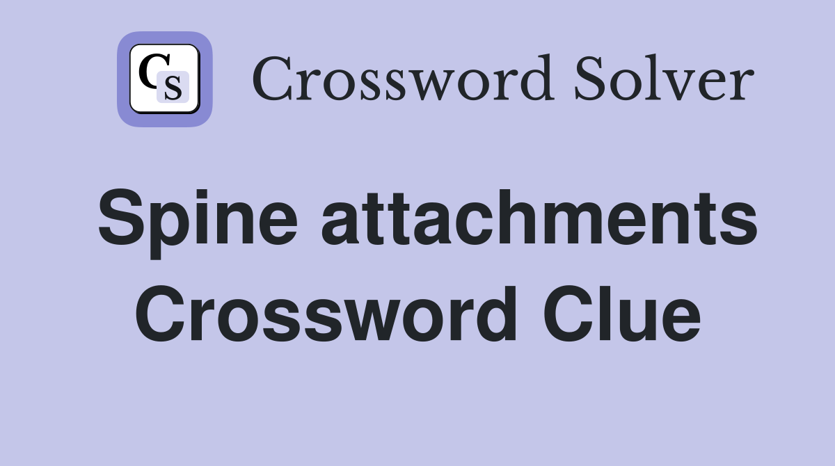 Spine attachments Crossword Clue