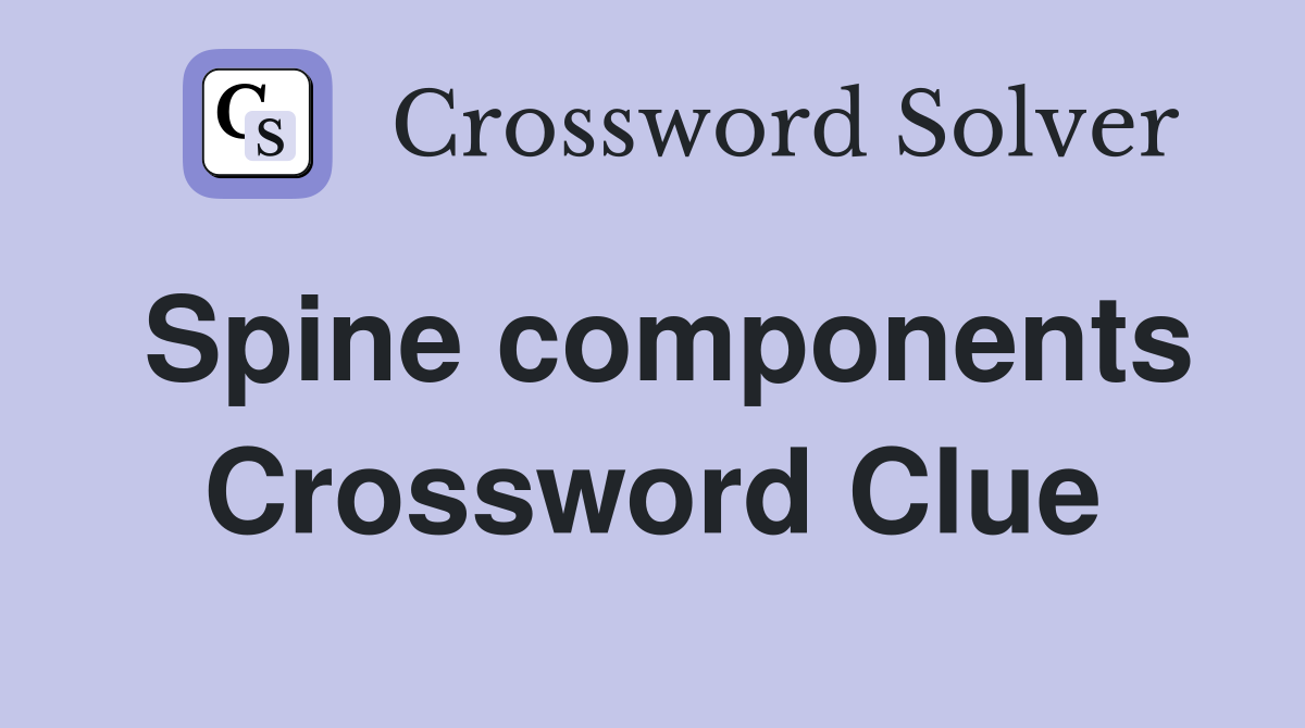 Spine components Crossword Clue