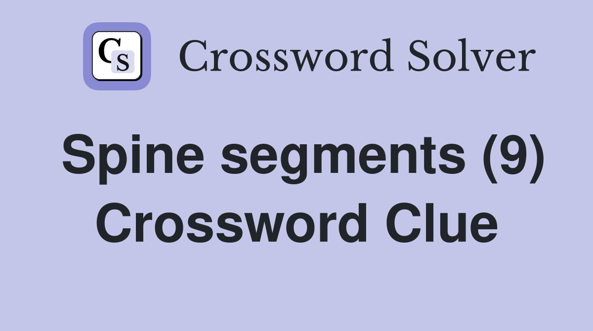 Spine segments (9) Crossword Clue