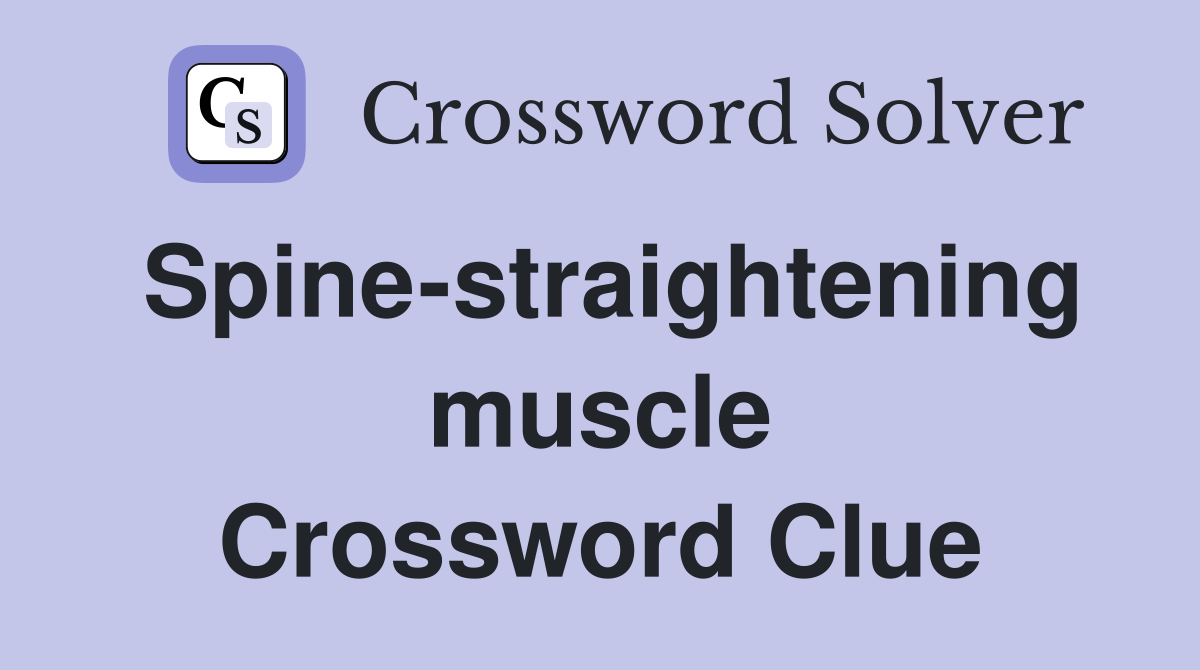 Spine-straightening muscle Crossword Clue