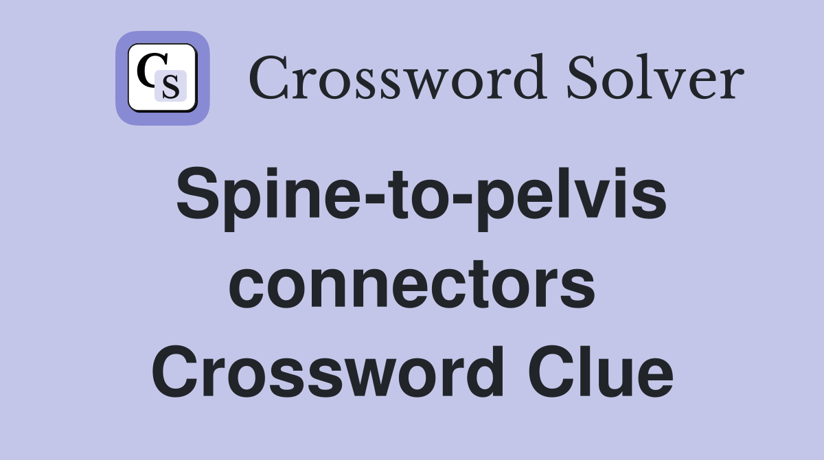 Spine-to-pelvis connectors Crossword Clue