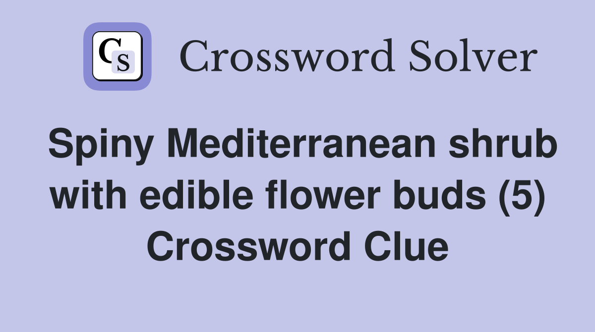 Spiny Mediterranean shrub with edible flower buds (5) Crossword Clue