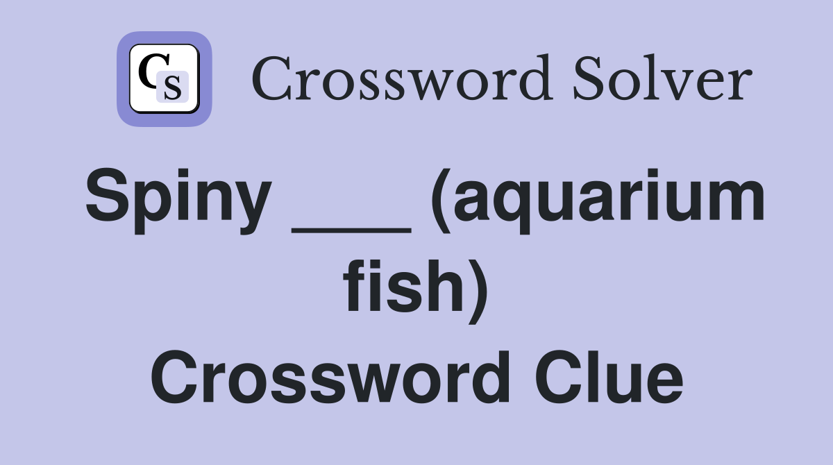 Spiny ___ (aquarium fish) Crossword Clue