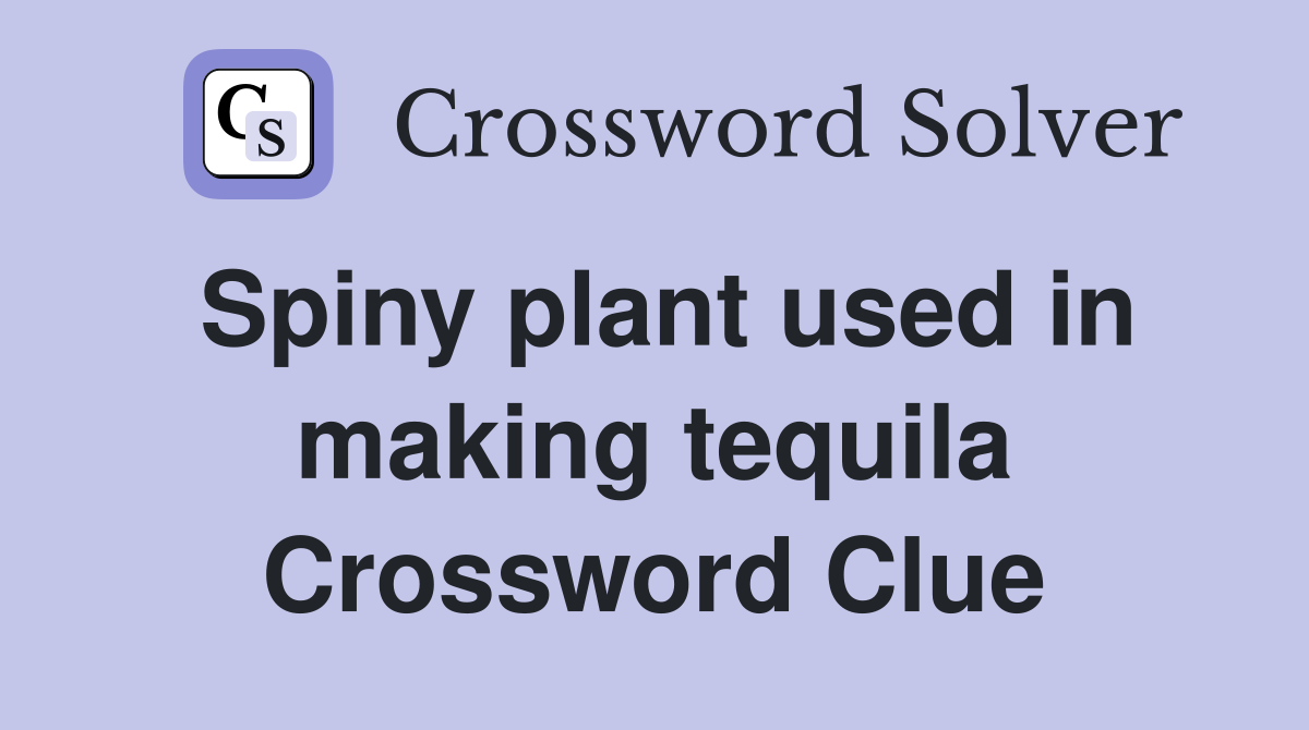 Spiny plant used in making tequila Crossword Clue