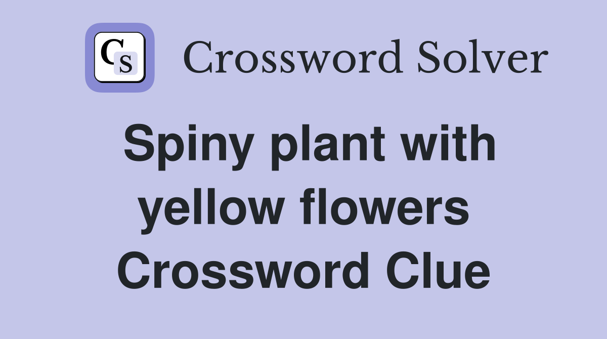 Spiny plant with yellow flowers Crossword Clue
