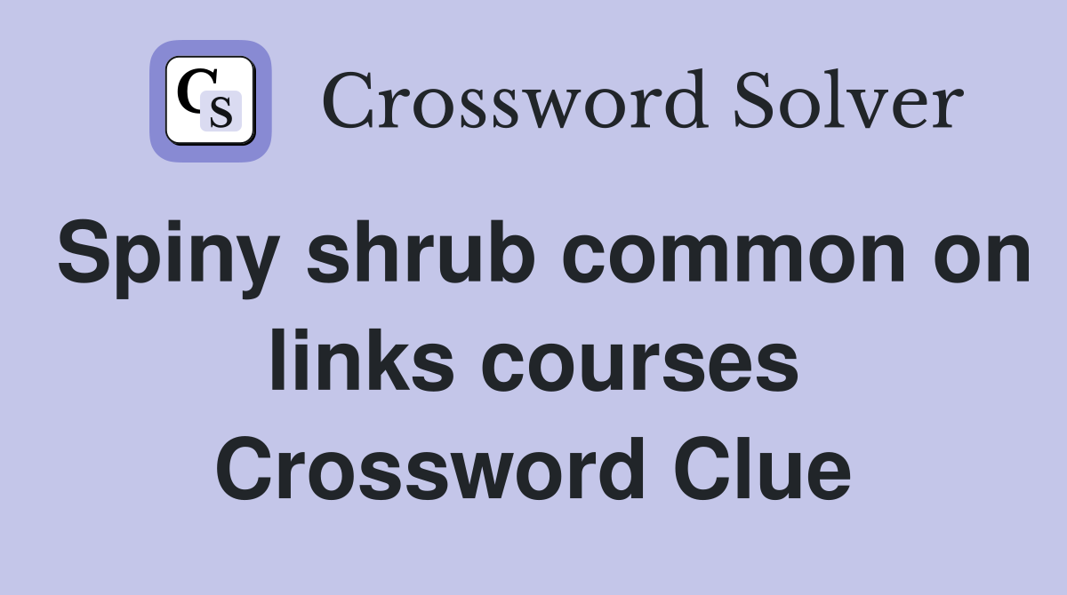 Spiny shrub common on links courses Crossword Clue