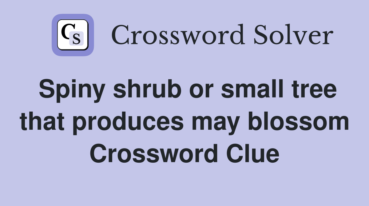 Spiny shrub or small tree that produces may blossom Crossword Clue