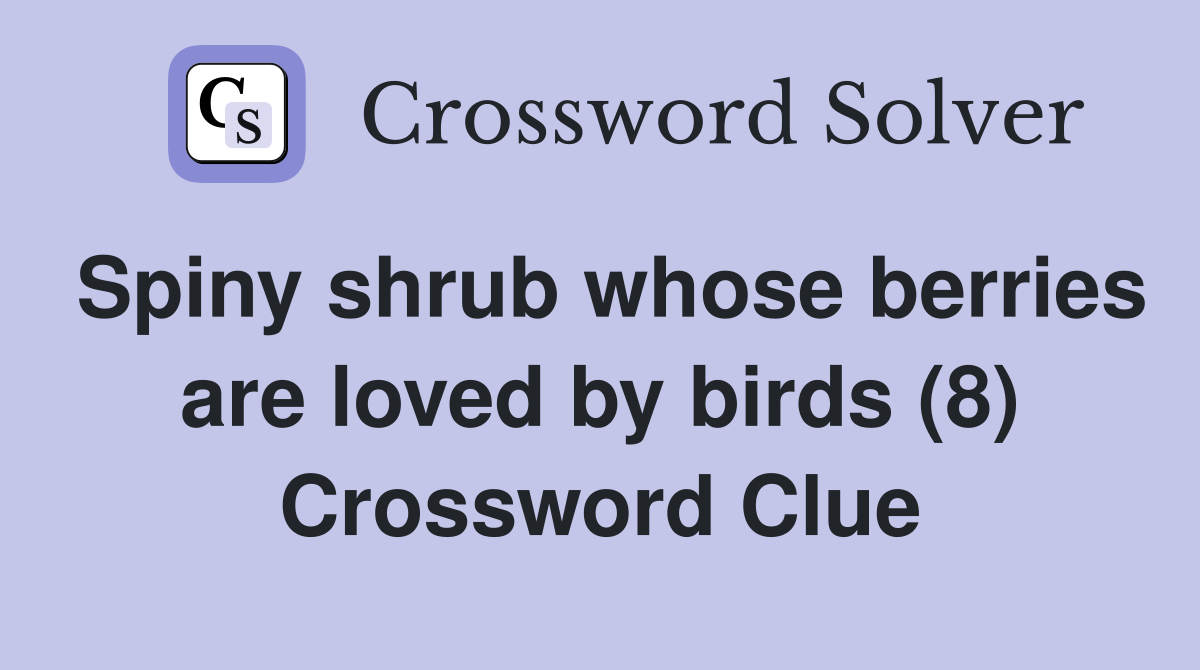 Spiny shrub whose berries are loved by birds (8) Crossword Clue