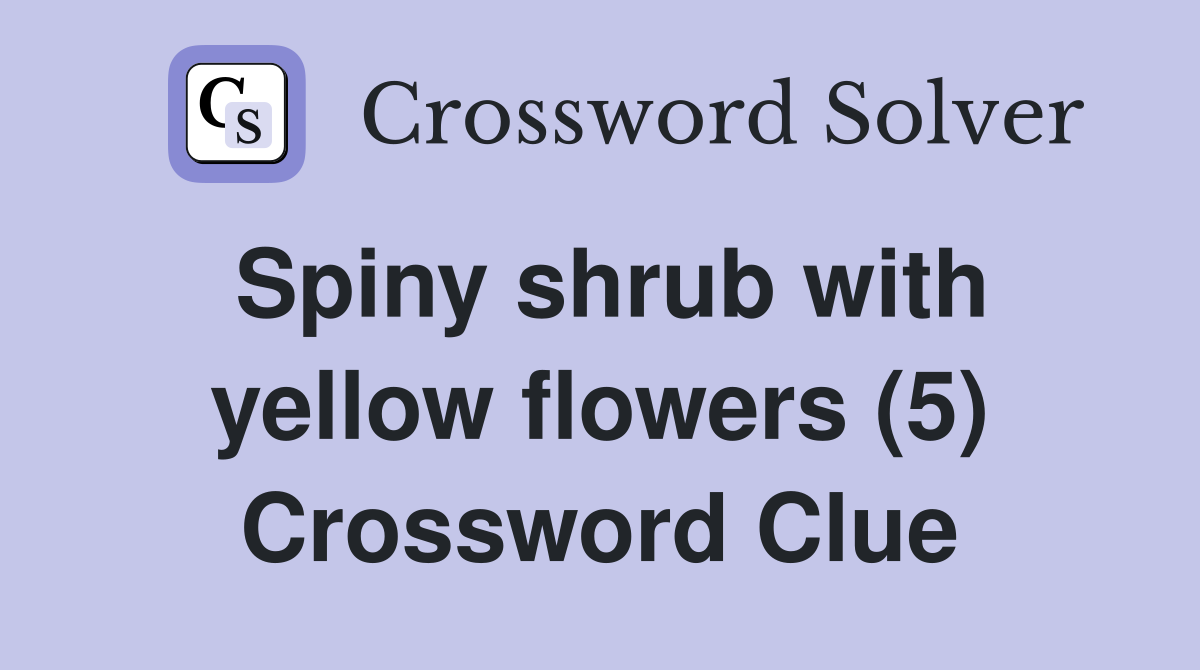 Spiny shrub with yellow flowers (5) Crossword Clue