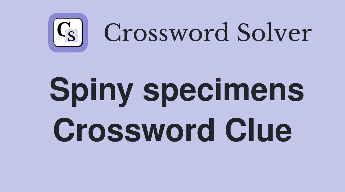 Spiny specimens Crossword Clue