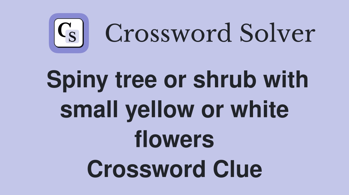 Spiny tree or shrub with small yellow or white flowers Crossword Clue