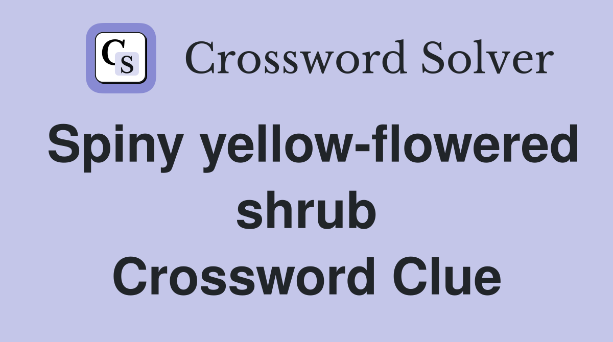 Spiny yellow-flowered shrub Crossword Clue
