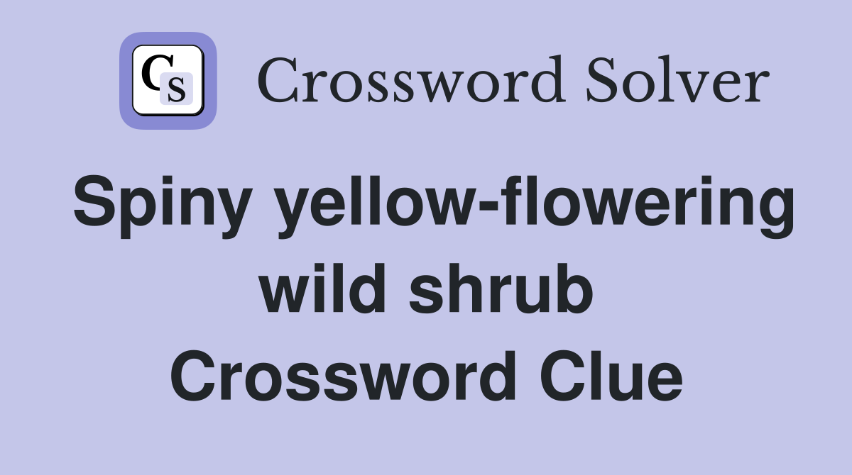 Spiny yellow-flowering wild shrub Crossword Clue