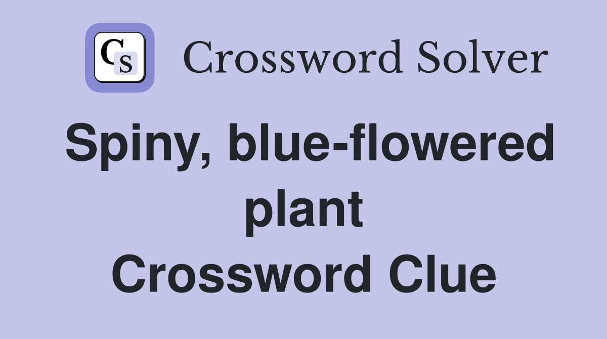 Spiny, blue-flowered plant Crossword Clue