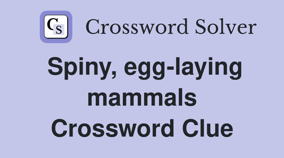 Spiny, egg-laying mammals Crossword Clue