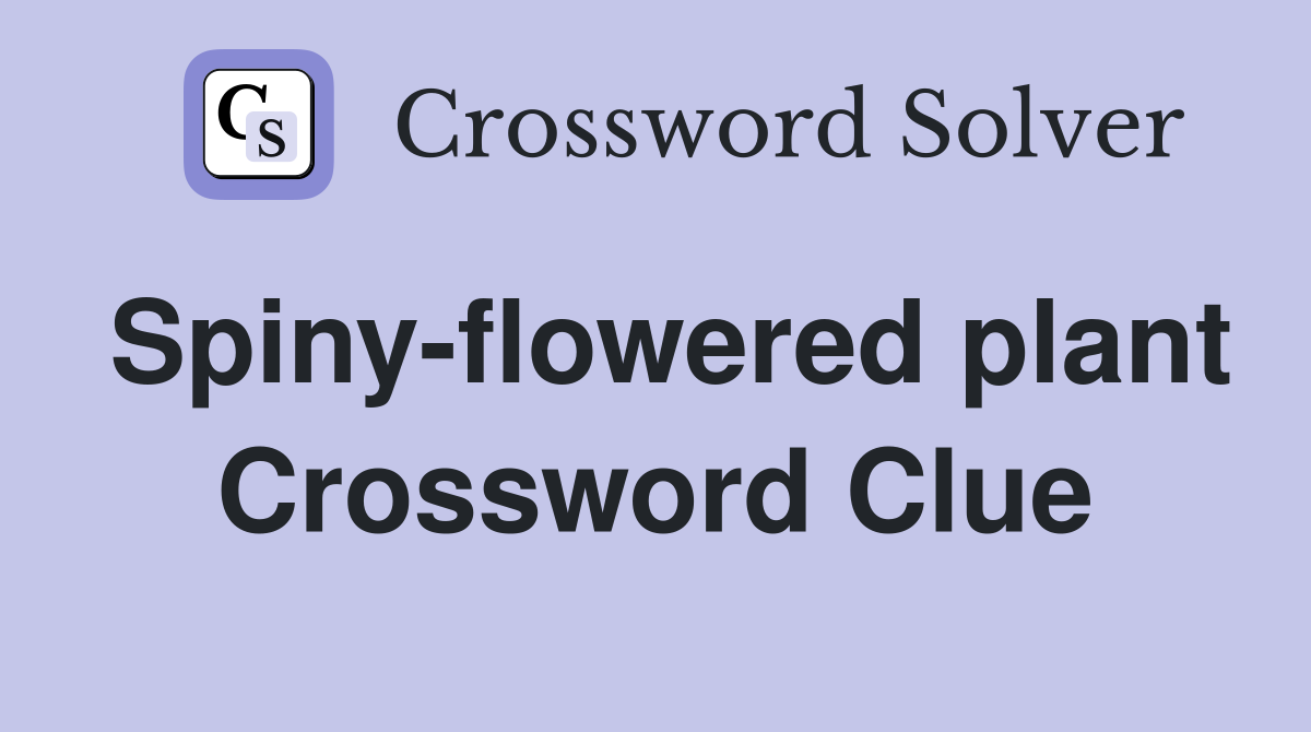 Spiny-flowered plant Crossword Clue