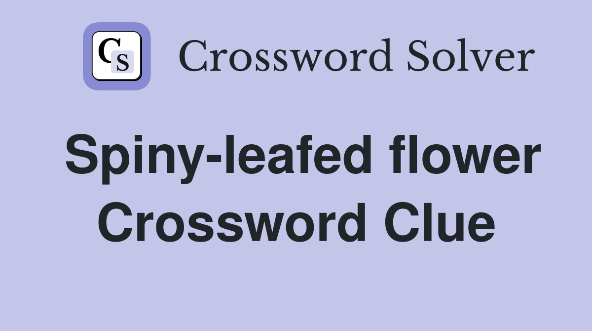 Spiny-leafed flower Crossword Clue