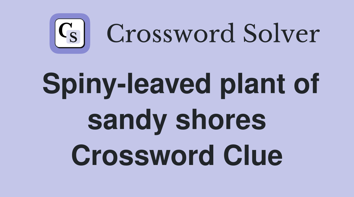 Spiny-leaved plant of sandy shores Crossword Clue