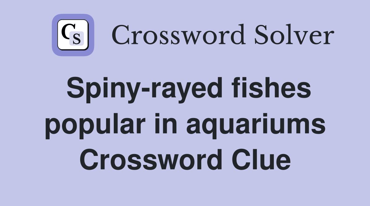 Spiny-rayed fishes popular in aquariums Crossword Clue