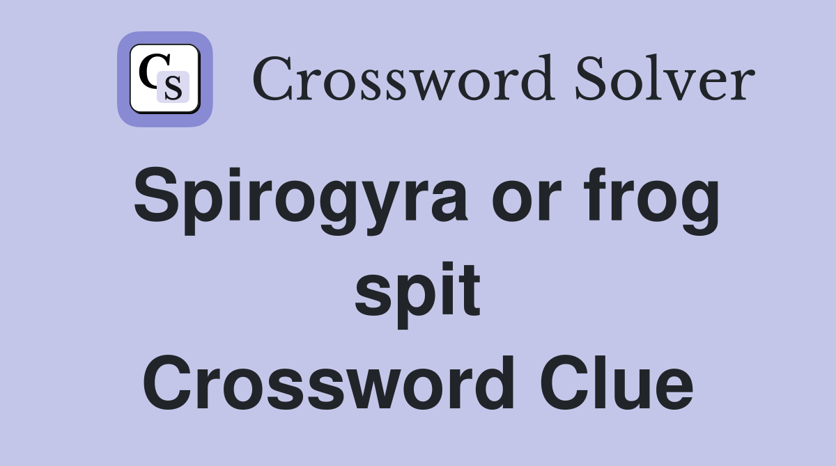 Spirogyra or frog spit Crossword Clue