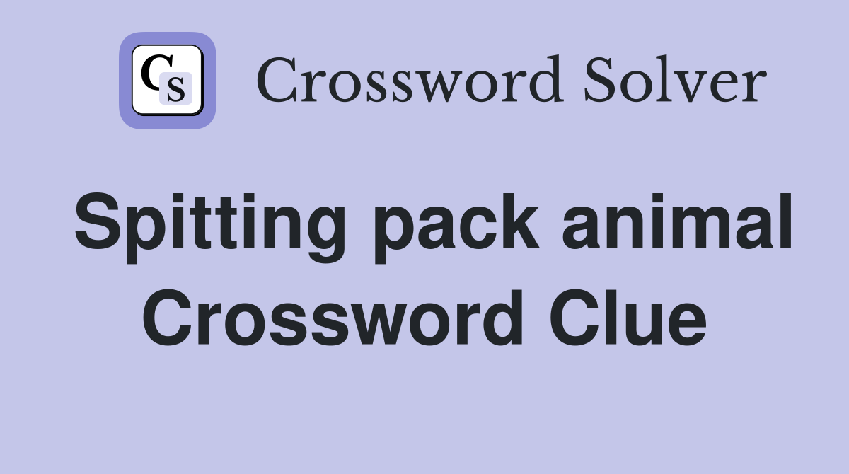 Spitting pack animal Crossword Clue