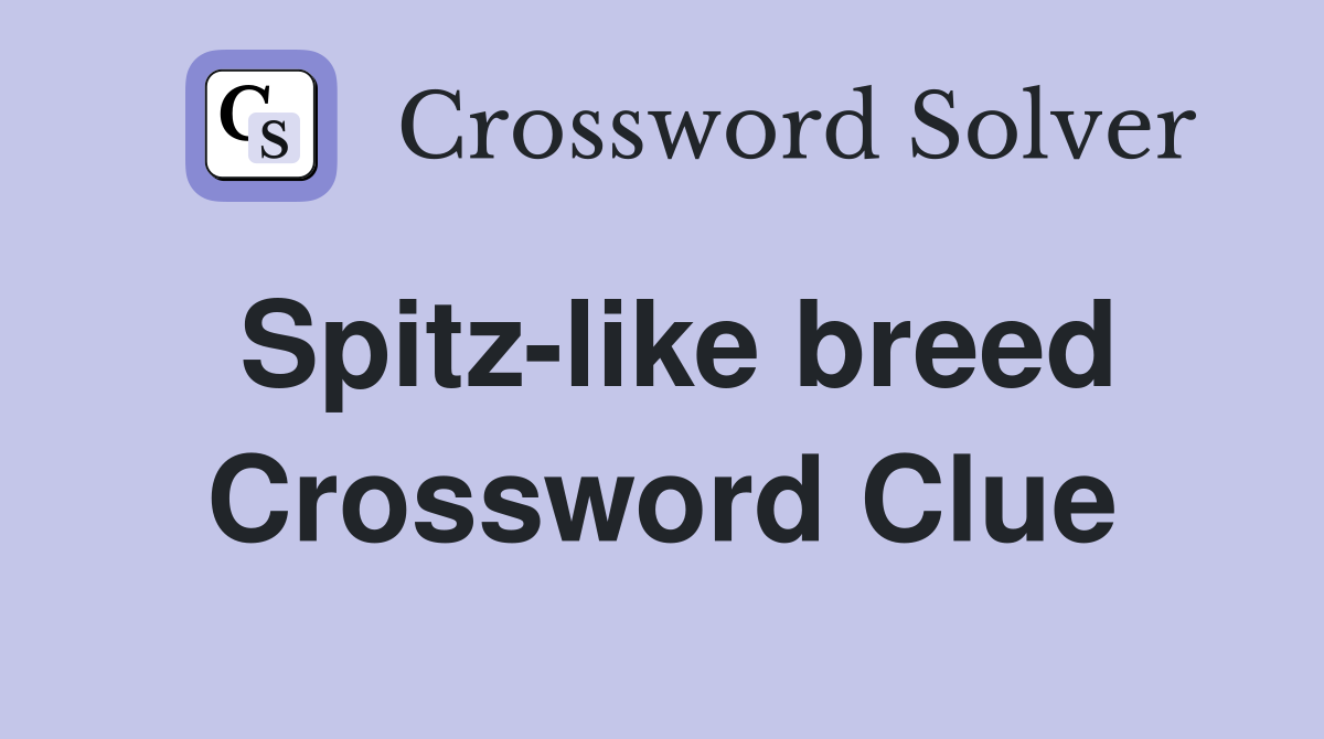 Spitz-like breed Crossword Clue