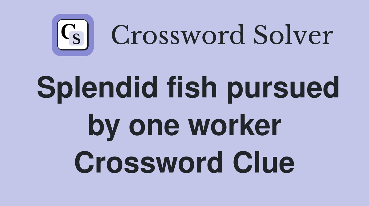 Splendid fish pursued by one worker Crossword Clue