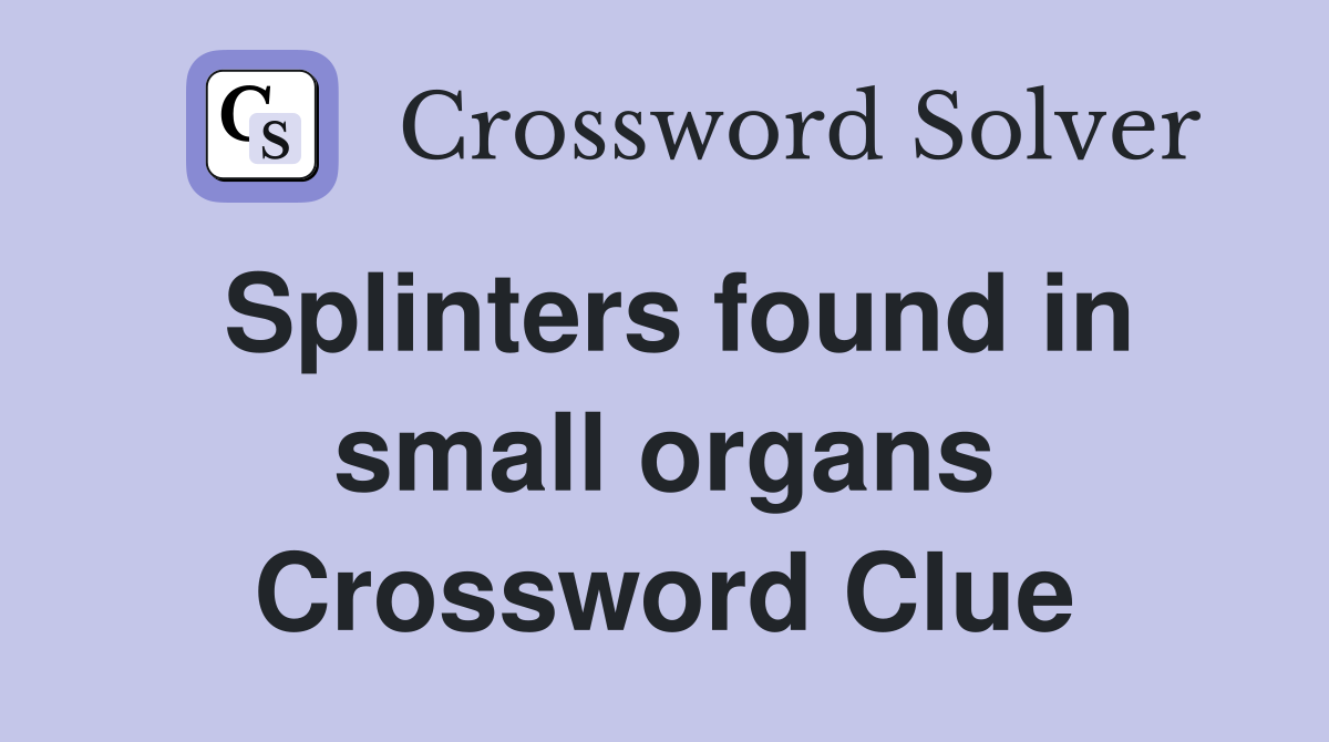 Splinters found in small organs Crossword Clue