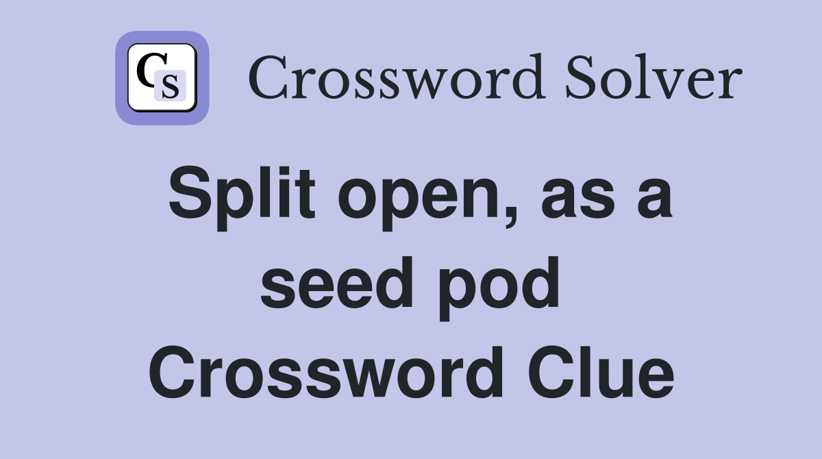 Split open, as a seed pod Crossword Clue