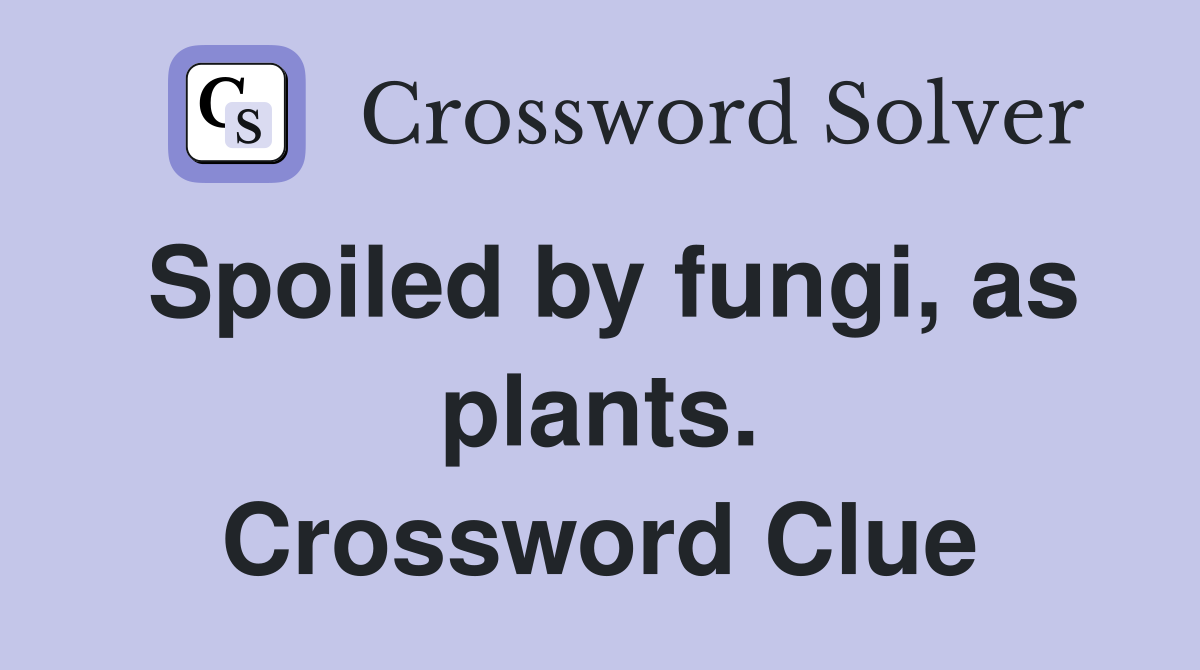 Spoiled by fungi, as plants. Crossword Clue