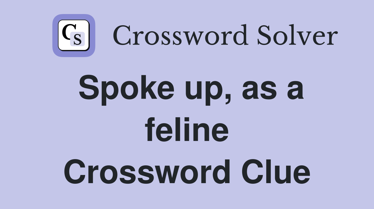 Spoke up, as a feline Crossword Clue