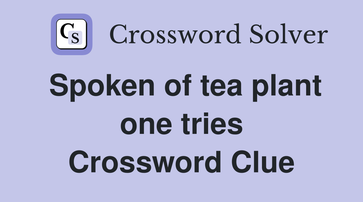 Spoken of tea plant one tries Crossword Clue
