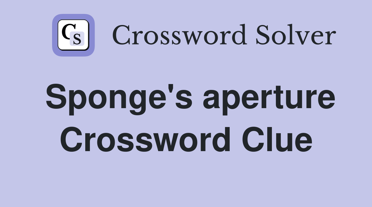 Sponge's aperture Crossword Clue