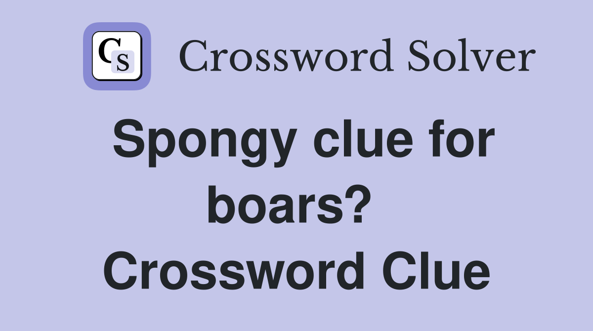 Spongy clue for boars?  Crossword Clue
