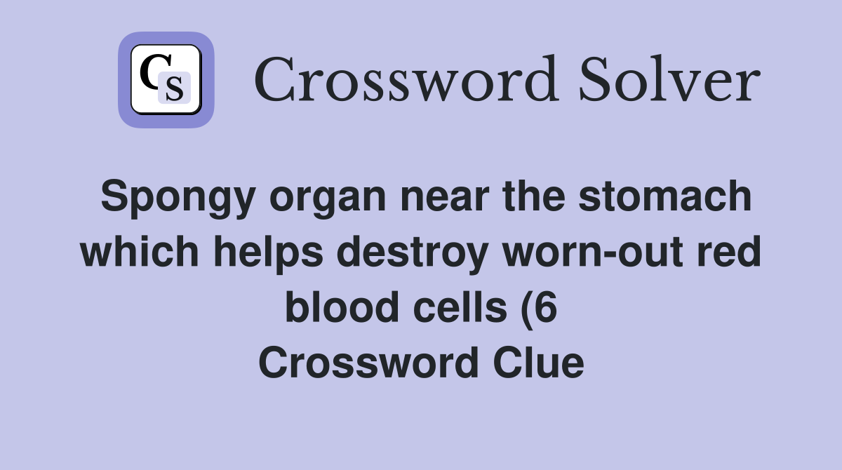 Spongy organ near the stomach which helps destroy worn out red blood Spongy organ near the stomach which helps destroy worn out red blood