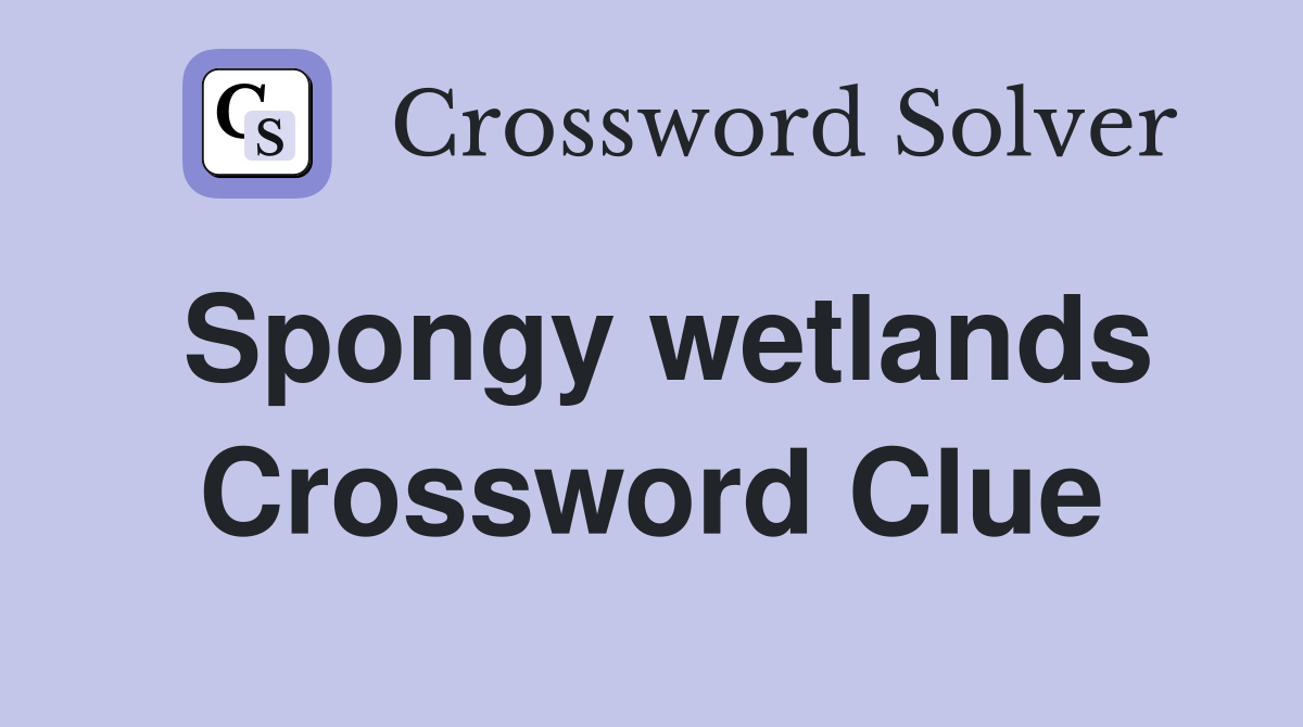 Spongy wetlands Crossword Clue