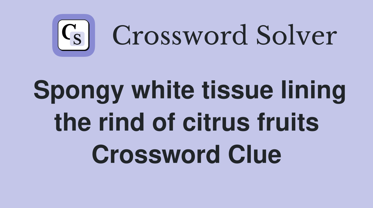 Spongy white tissue lining the rind of citrus fruits Crossword Clue