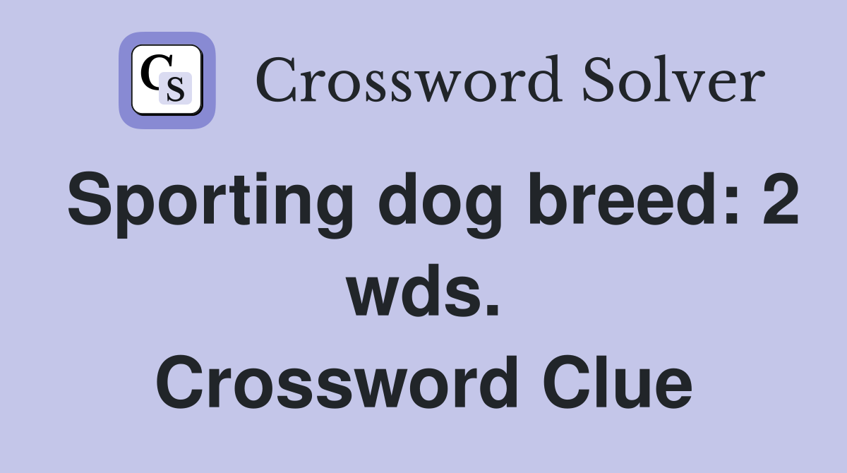 Sporting dog breed: 2 wds. Crossword Clue
