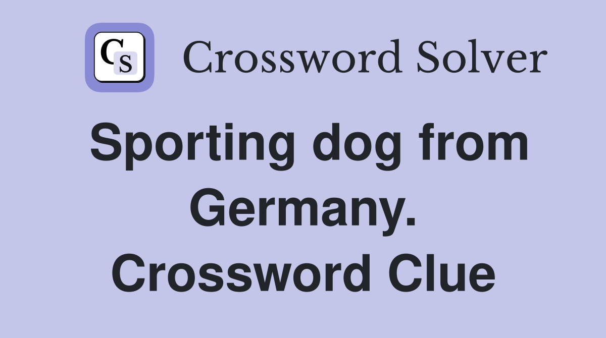 Sporting dog from Germany. Crossword Clue