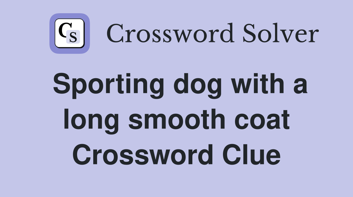 Sporting dog with a long smooth coat Crossword Clue