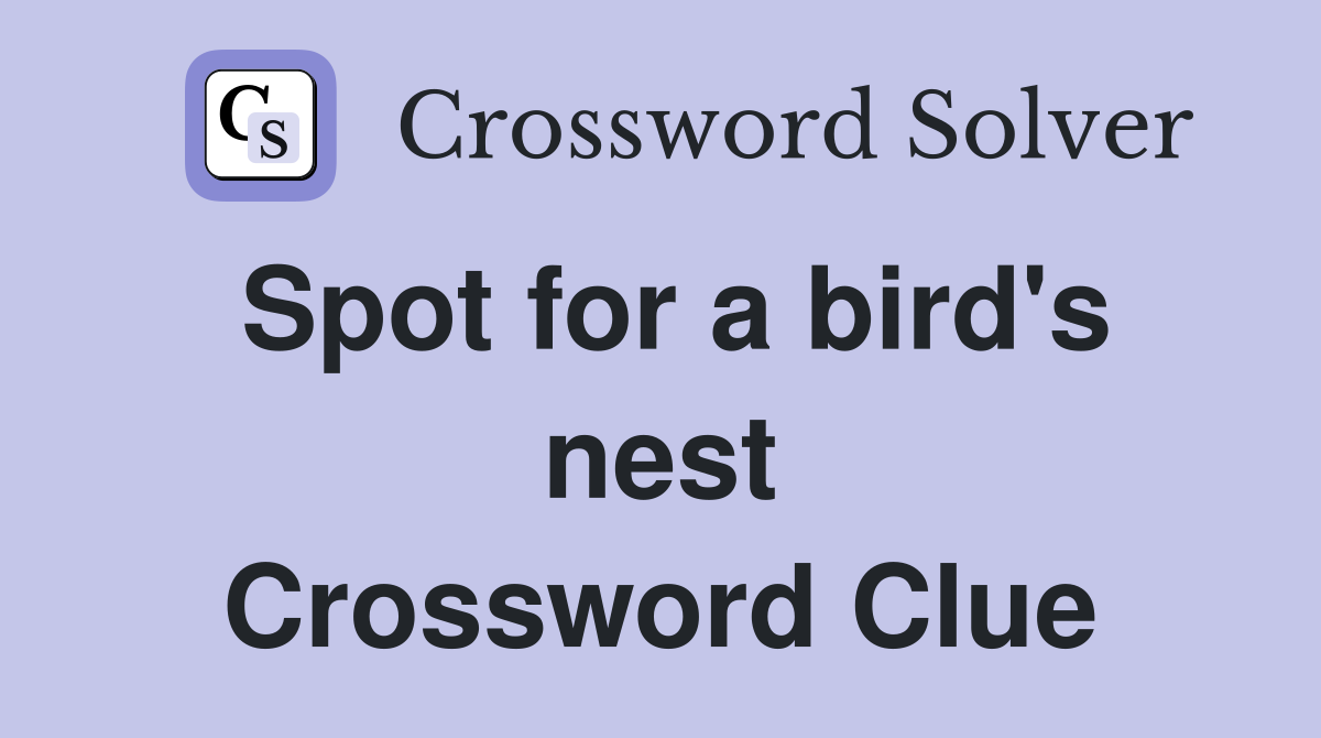 Spot for a bird's nest Crossword Clue