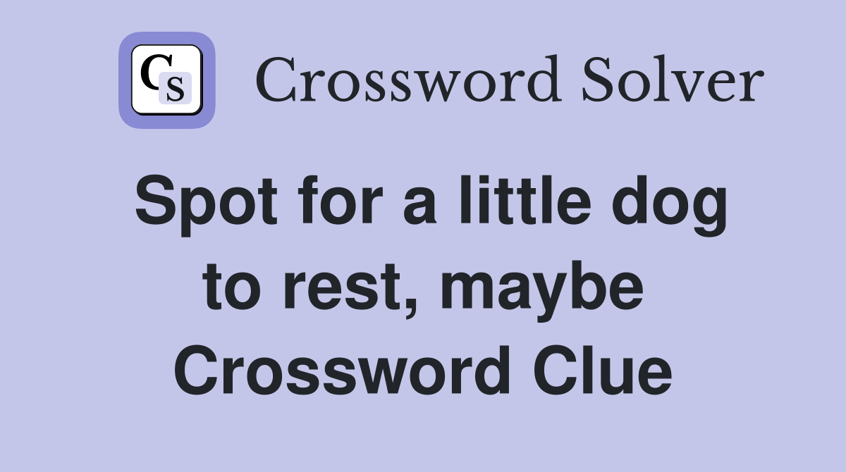 Spot for a little dog to rest, maybe Crossword Clue