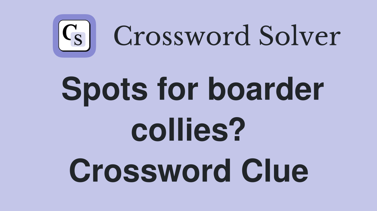 Spots for boarder collies? Crossword Clue