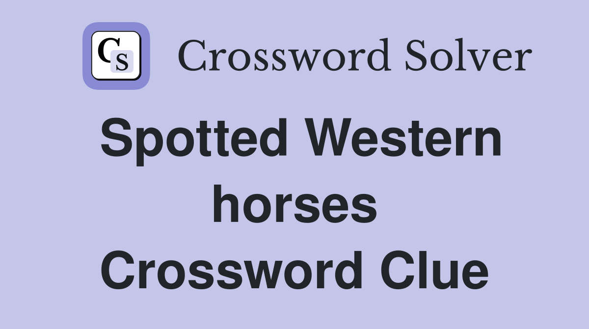 Spotted Western horses Crossword Clue