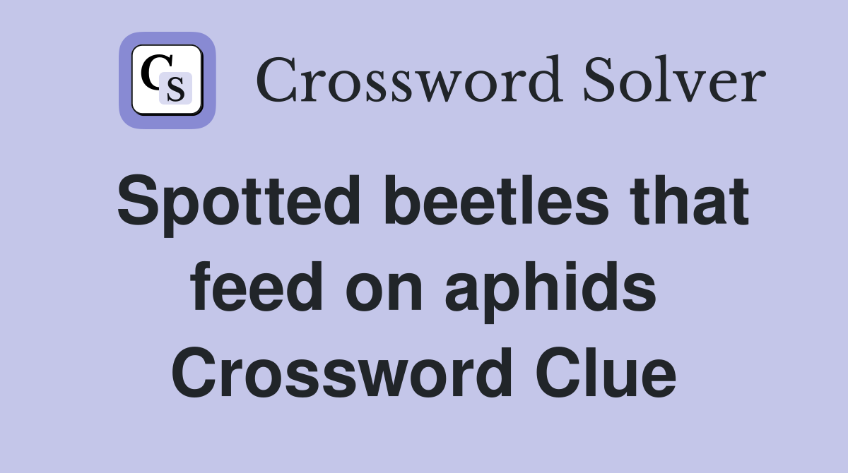 Spotted beetles that feed on aphids Crossword Clue