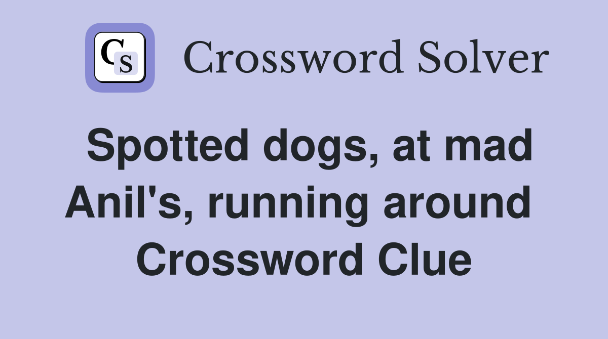 Spotted dogs, at mad Anil's, running around  Crossword Clue