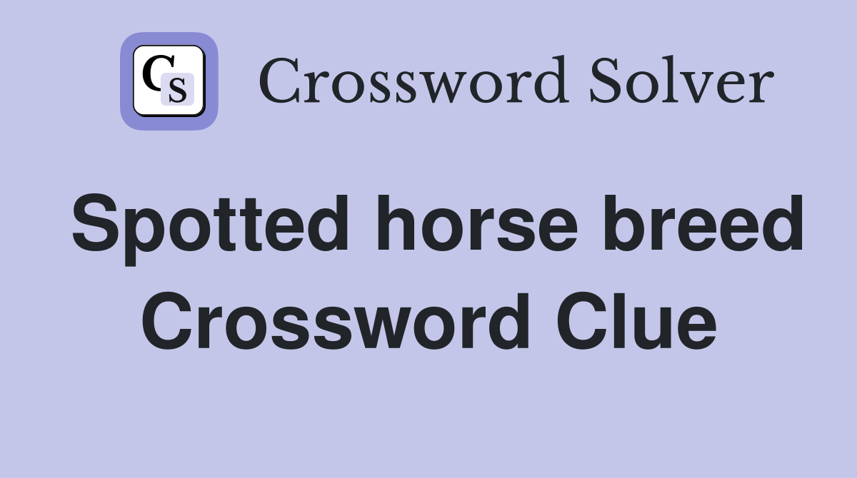 Spotted horse breed Crossword Clue