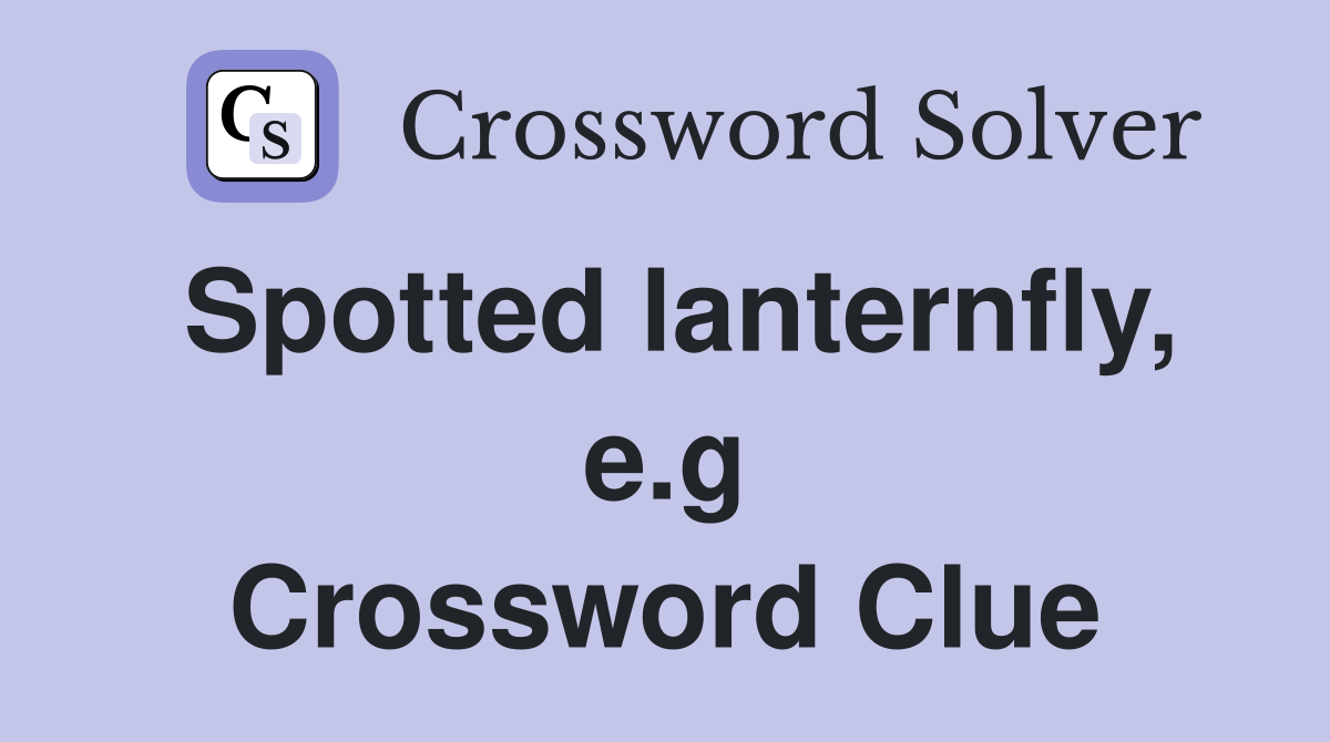 Spotted lanternfly, e.g Crossword Clue